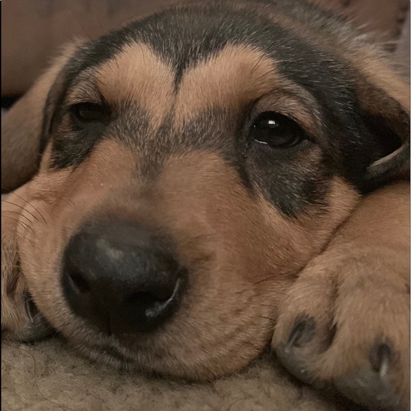 Meet your Posher, Barbara - Picture 2 of 5